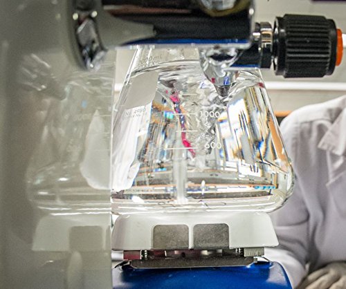 C60 Anti-Aging Face Serum 30ml with Hyaluronic Acid, Plant Stem Cells, Peptides, Vitamins B + C & Anti Aging Wrinkle Complexes for Men & Women Made with Organic Ingredients