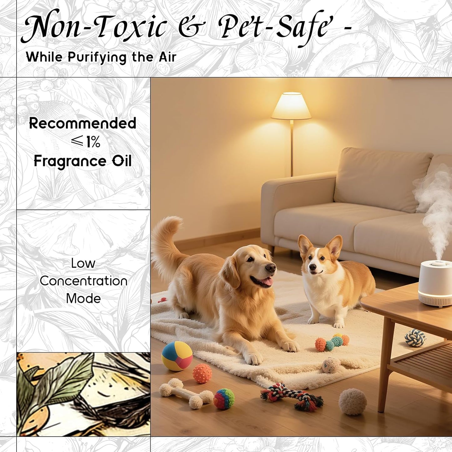 HIQILI Honey Fragrance Oil for Making Candle, Soap, Perfume, Warm Scents for Essential Oil Diffusers, Great for Home, Laundry - 1 Fl Oz