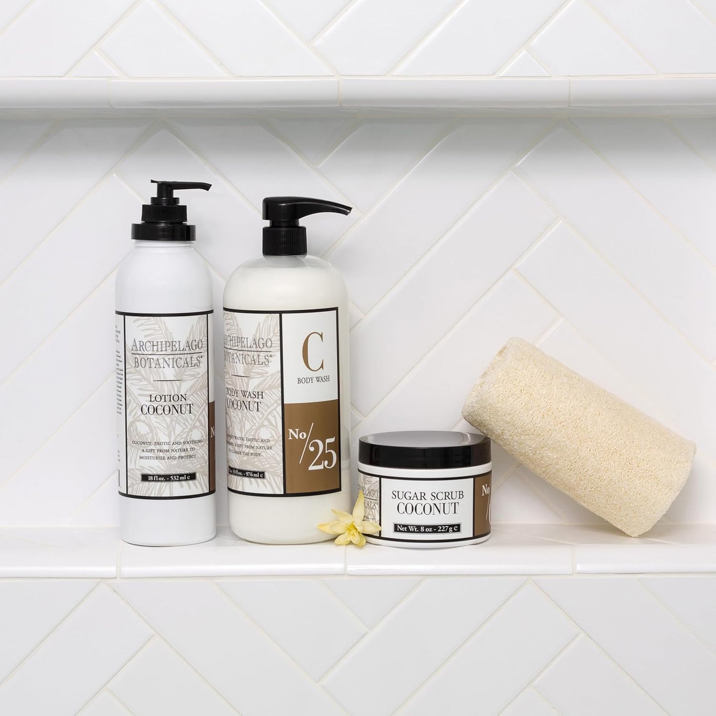 Archipelago Botanicals Coconut Moisturizer, Nourishing Coconut Body Lotion for Hydrated, Vibrant Skin, Paraben Free, Phthalate Free, 18 oz