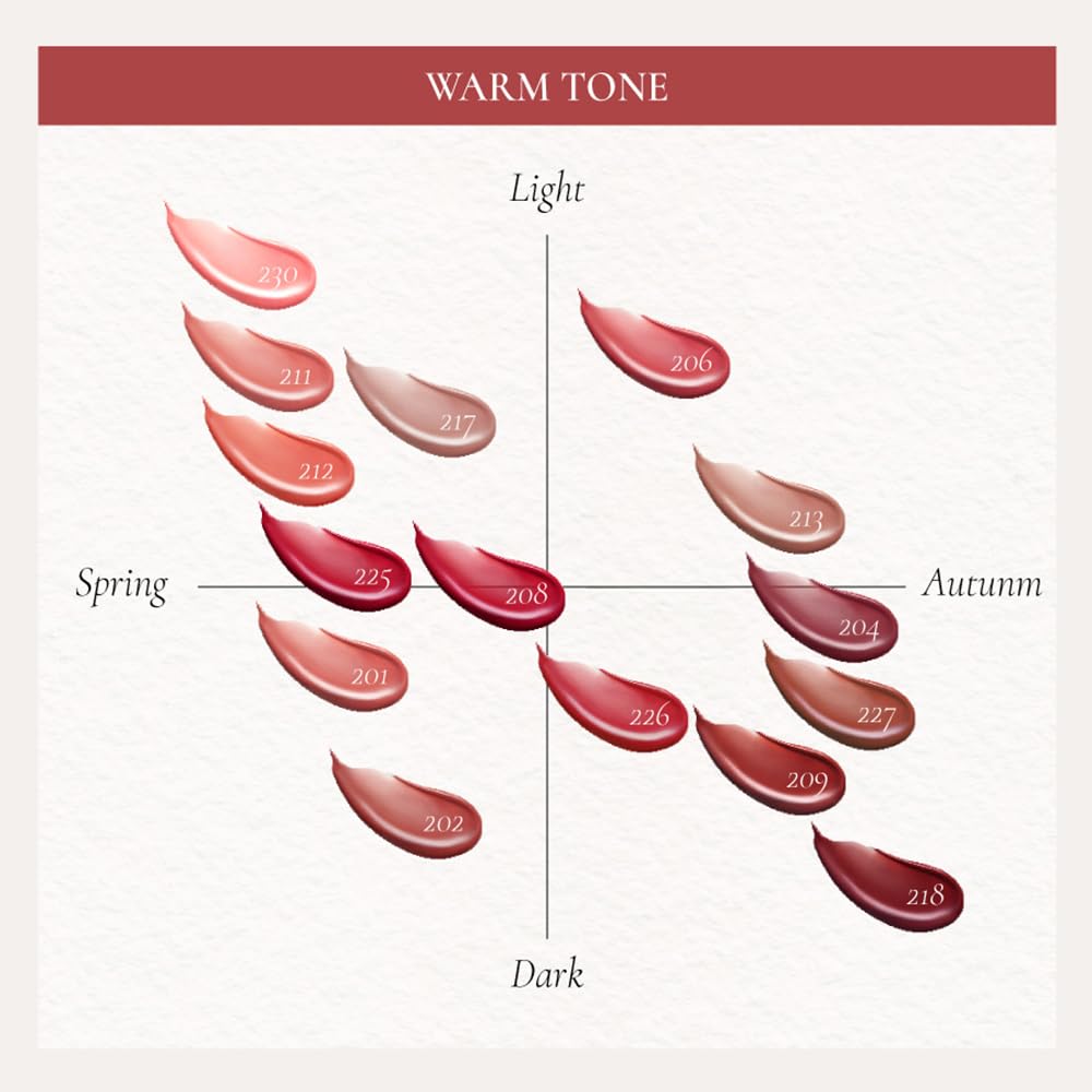 DINTO Blur-Glowy Lip Tint (227 Decōrum)