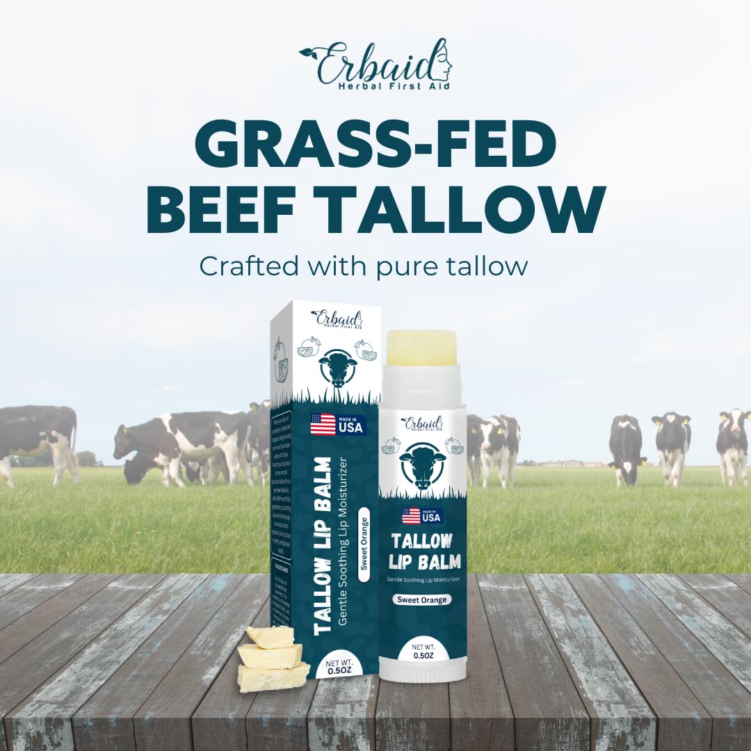 Beef Tallow Lip Balm – Natural Tallow Beeswax Chapstick – Hydrating Moisturizer Grass Fed Tallow Balm Lip Care – Soothes Chapped, Dry Lips, Sensitive Skin – Long Lasting Vitamin Rich USA-Made Orange