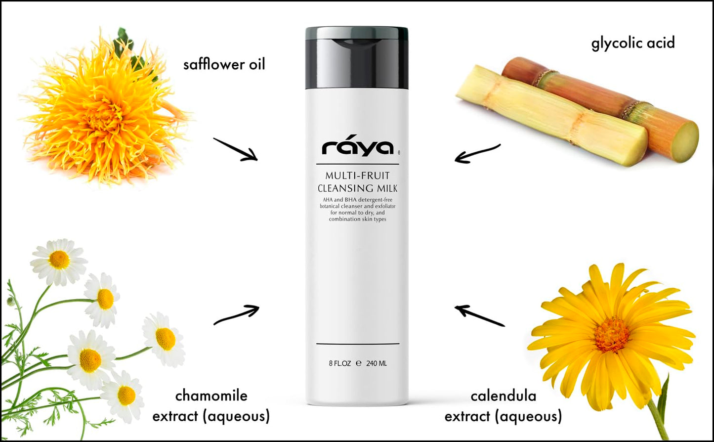 Raya Multi-Fruit Facial Cleansing Milk with AHA and BHA 8 oz (G-154) | Exfoliating Soap-Free Cleanser and Make-Up Remover for Dry and Combo Skin | Made with Multi-Fruit Alpha and Beta Hydroxy Acids