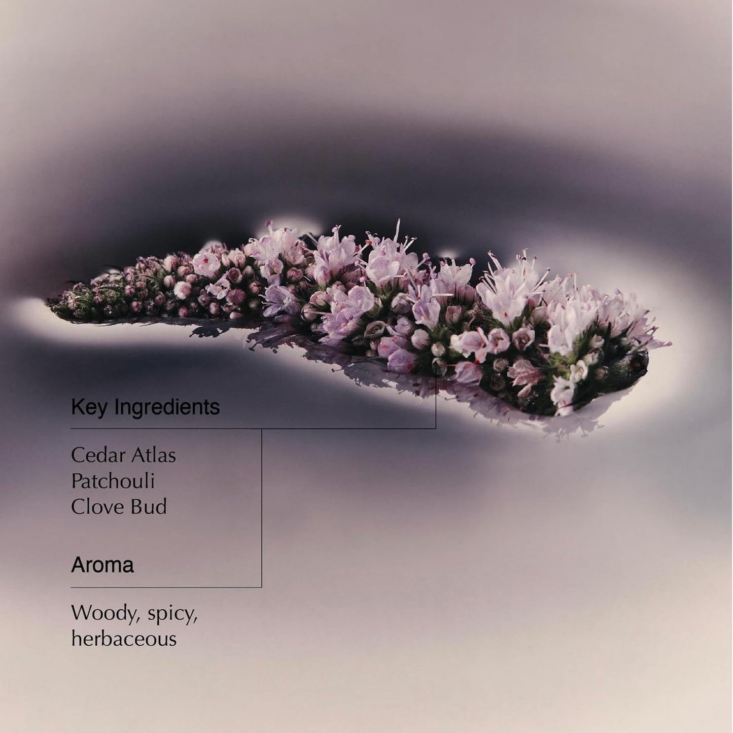 Aesop Eleos Nourishing Body Cleanser | Hydrating Ingredients For Refreshed, Soft Skin | Enriched With Emollients, Humectants, Purifying Botanicals | 500mL / 16.9oz