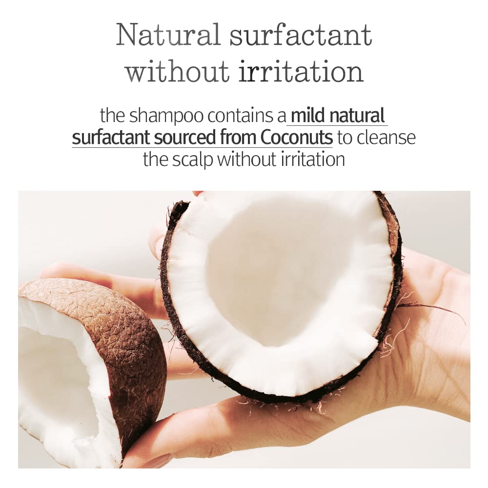 PYUNKANG YUL Hair&Body Travel Kit | Shampoo, Conditioner, Body Wash, Lotion, Spa Kit, 4 items | Low pH, Moisturizing, Soothing, Refreshing, Fragrance Free | Korean Skin Care | 3.38 Fl.Oz. x 4ea