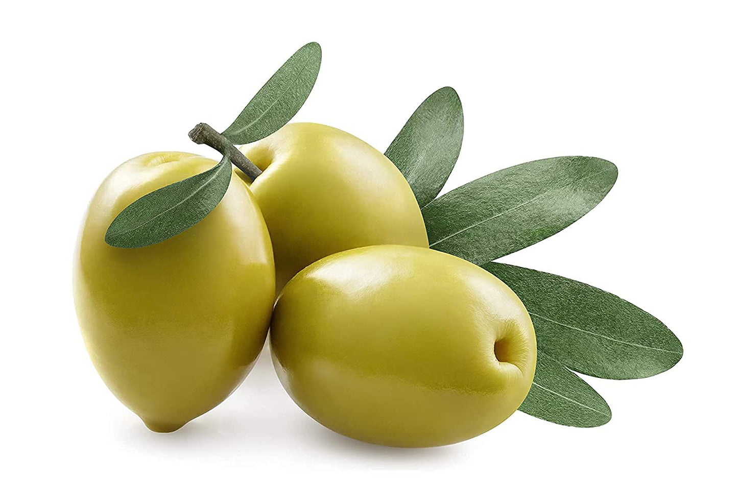 Squalane Oil - Pure, Natural, Plant-Derived, Non-GMO, Refined 32 oz, Squalene Alternative- Ultra Hydrating & Moisturizing Carrier Oil, for Skin, Hair, Body, Face, Nails.Packaging May Vary