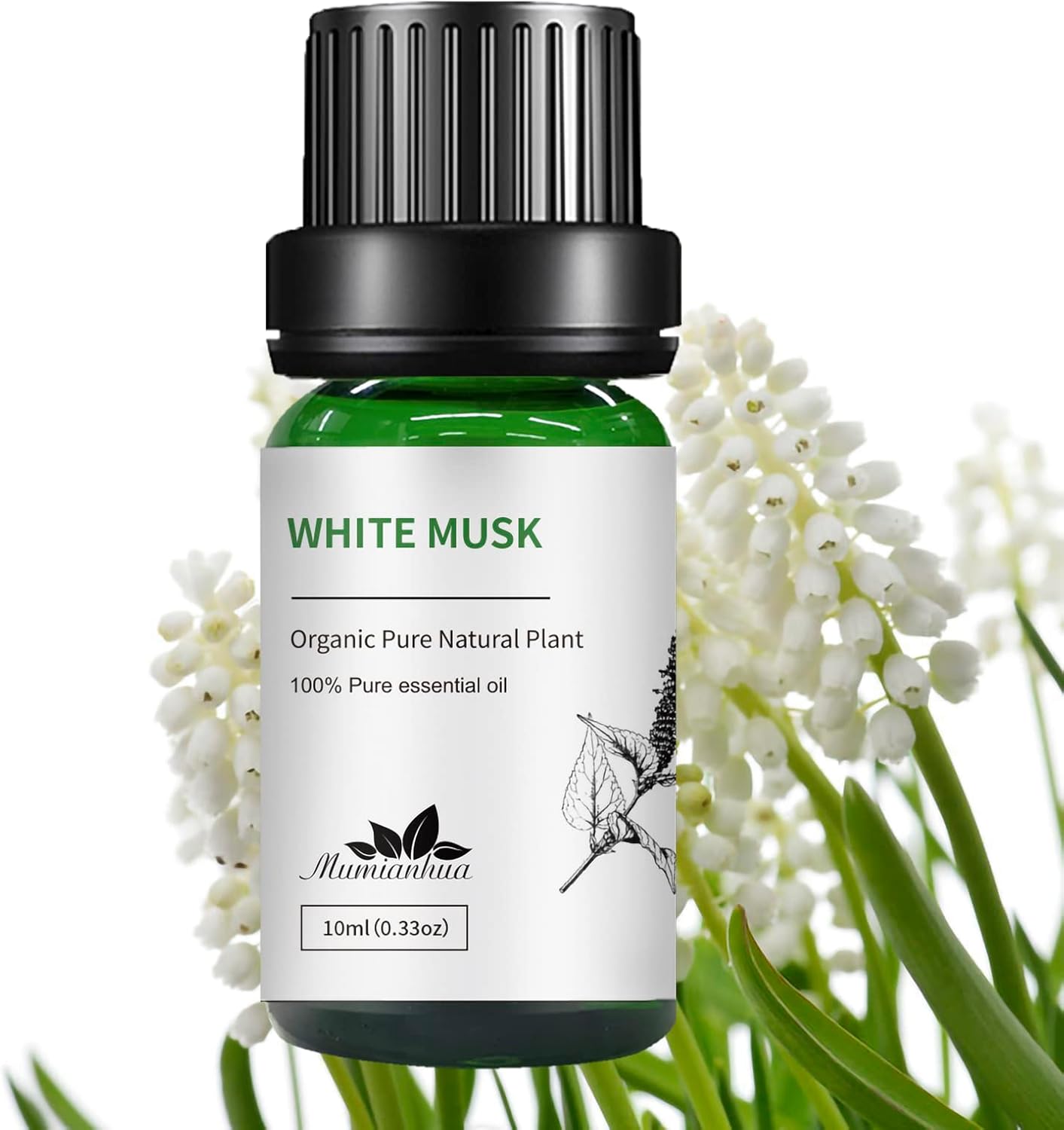 Mumianhua Pure White Musk Essential Oil - Therapeutic Grade Undiluted for Aromatherapy, Perfume Making & Skin Care, Vegan Musk Fragrance Oil 10ml