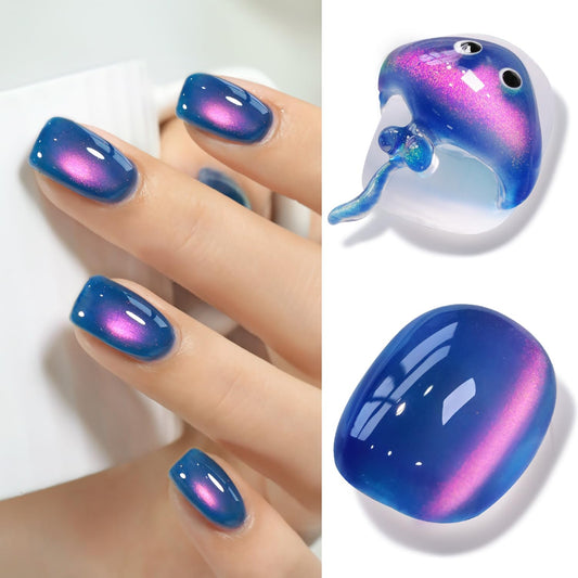 Double Rhythm Jelly Glass Cat Eye Gel Polish with Magnet 15ML Holographic Glitter Shimmer Translucent Sheer Color Magnetic Nail Polish Salon DIY at Home (Navy Blue-MC1264) | alldaygood beauty