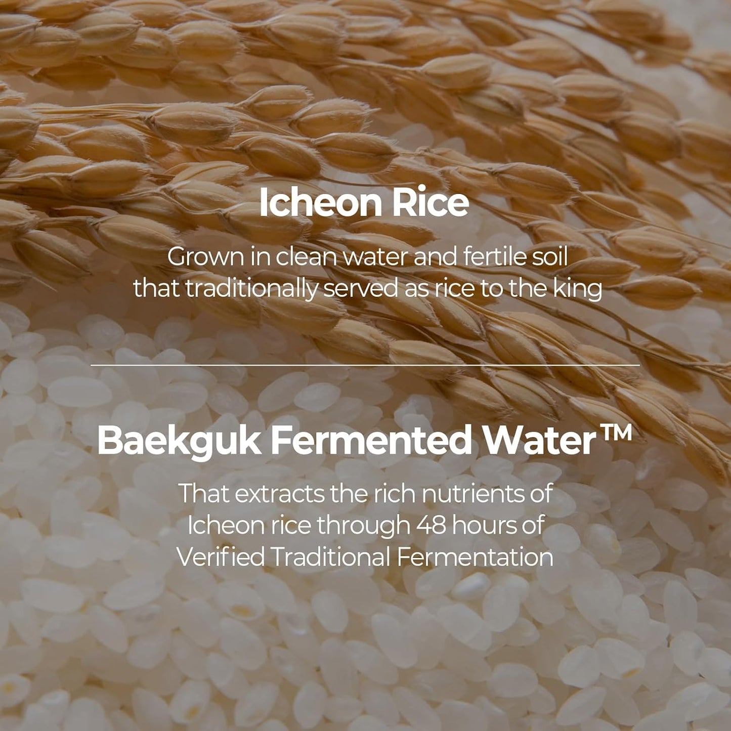 SKINFOOD Rice Daily Serum, Korean Skincare Facial Essence for Glow Glass Skin, Fermented Natural Rice Water Milk for Face, Pore Minimizing, Deep Hydrating, Dark Spot Correcting, 55ml/1.86fl.oz.