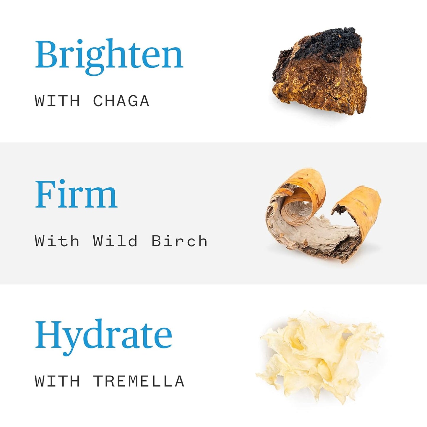 Ursa Major Forest Alchemy Eye Cream | Natural Under-Eye Moisturizer for Dark Circles, Fine Lines, Puffy Eyes and Wrinkles | Vegan, Cruelty-Free, Non-toxic, Unscented | 0.50 ounces