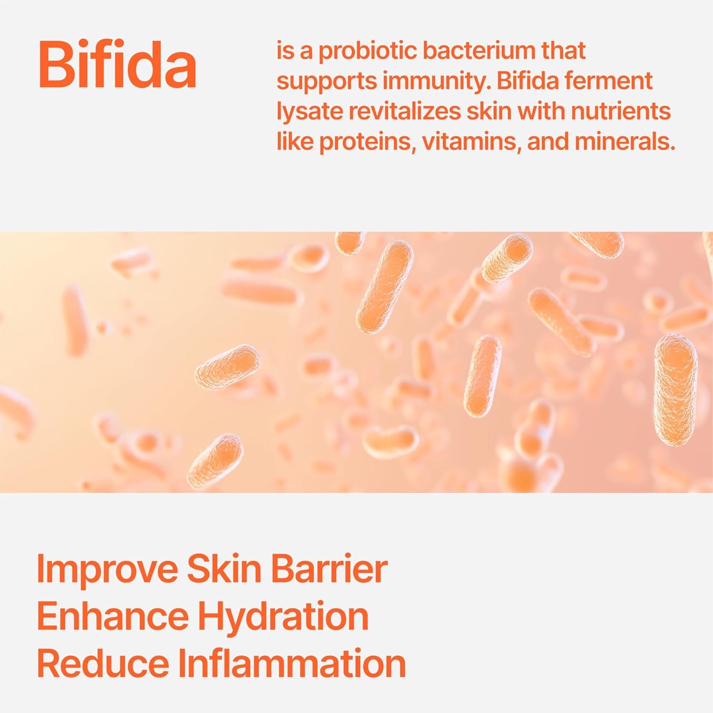 Bifida Barrier Cream, Moisturizing CUSKIN Korean Moisturizer Skincare with Ceramide NP, Squalane, and Hyaluronic Acid for Hydration and Skin Elasticity, 50ml (1.69 Fl. Oz.)