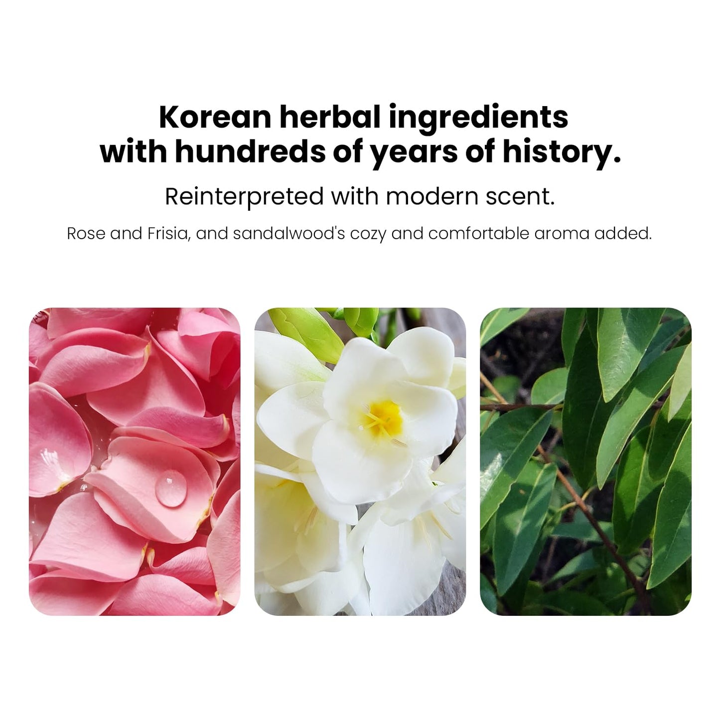 Bon Yeon Jin Cream 1.69 fl oz(50ml) | Anti-Wrinkle, Moisturizing, Hydrating, Soothing, Korean Skin Care, Korean Skin Care Set