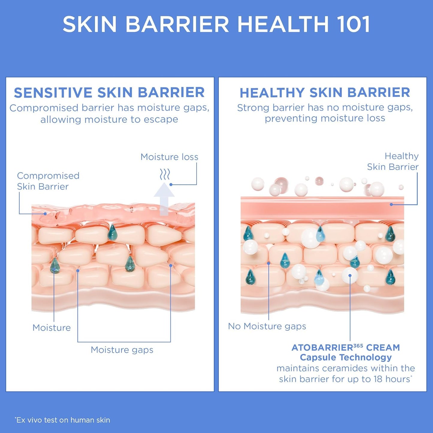 AESTURA ATOBARRIER365 Cream with Ceramides, Korean Face Moisturizer for Barrier Repair | 120H lasting Hydration, Ceramide Capsules, Dry & Sensitive Skin, Non-comedogenic, 80 mL / 2.70 fl.oz.