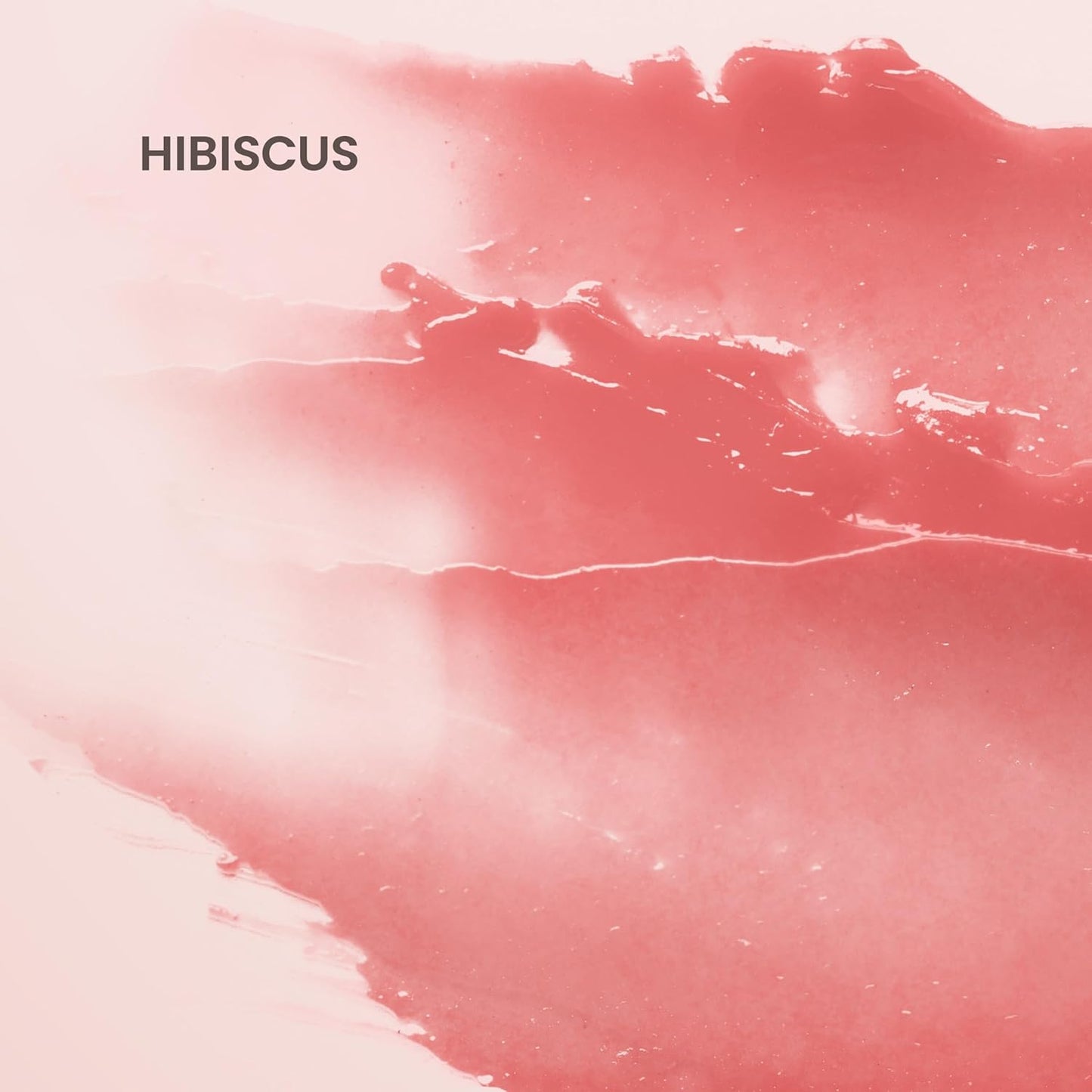 Burt's Bees Lip Tint Balm with Long Lasting 2 in 1 Duo Tinted Balm Formula, Color Infused with Deeply Hydrating Shea Butter for a Natural Looking Buildable Finish, Soft Hibiscus (2-Pack)