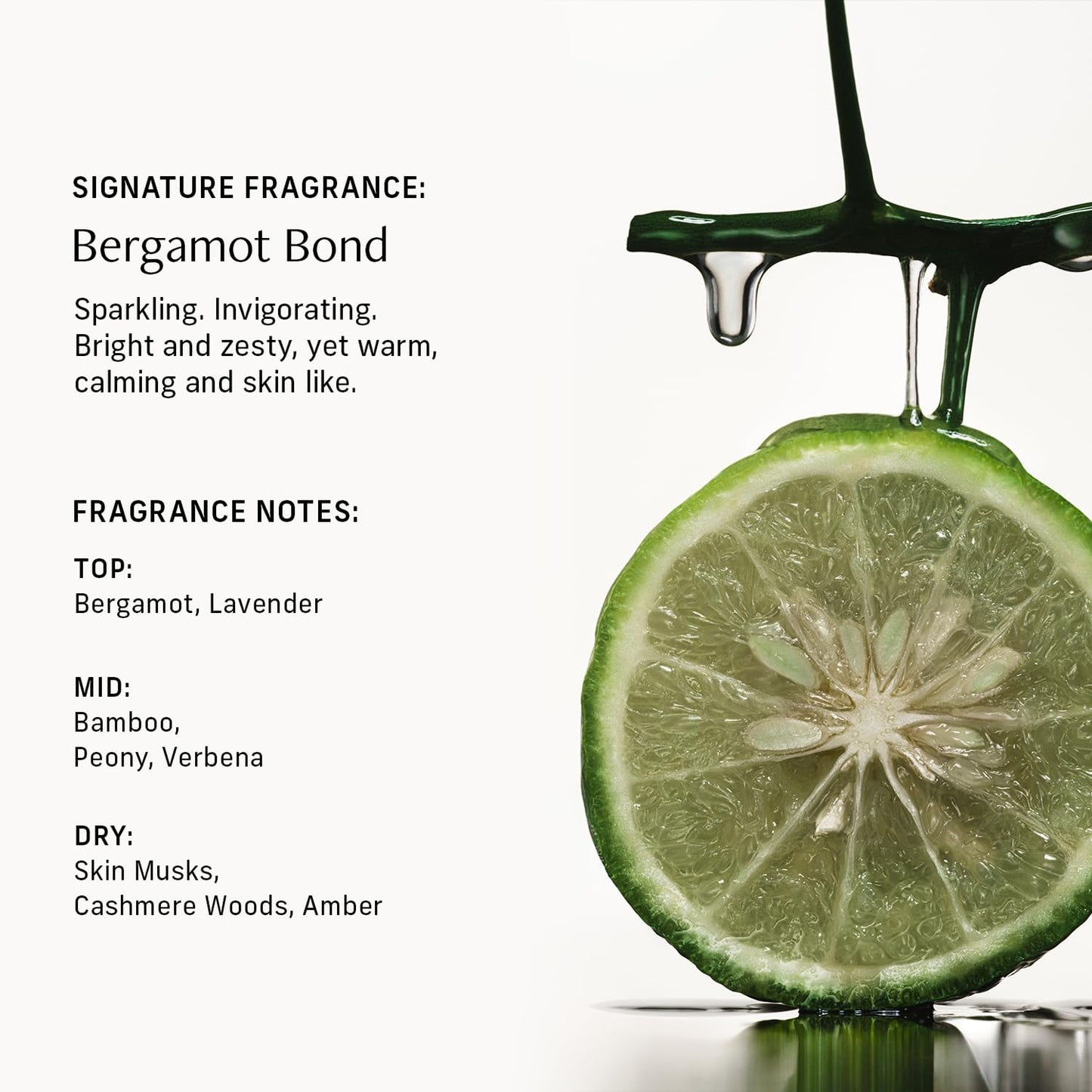 Nutrient Rich Body Cream. Bergamot Bond Nourishing Moisturizer with Niacinamide and Banana Flower Extract. Deep Hydration, Thick Body Lotion, Dry Skin Cream for Women and Men, 8 Fl Oz