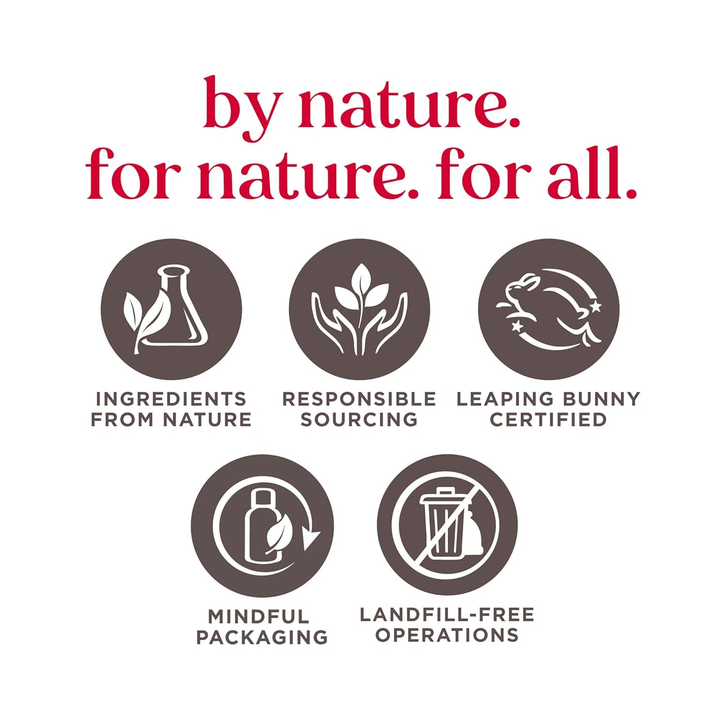 Burt's Bees Gifts Ideas - In Full Bloom Lip Balm Set, Original Beeswax, Dragonfruit Lemon, Tropical Pineapple & Strawberry, Natural Origin Lip Treatment, 4 Tubes, 0.15 oz.