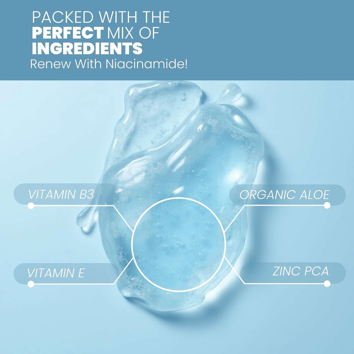 Eva Naturals Niacinamide 12% + Zinc Serum for Face – Dark Spot Remover, Pore Minimizer, Redness Relief, Hydrating Vitamin B3 with Botanical Hyaluronic Acid, Anti-Aging Serum for Clear Skin (2 Pack)