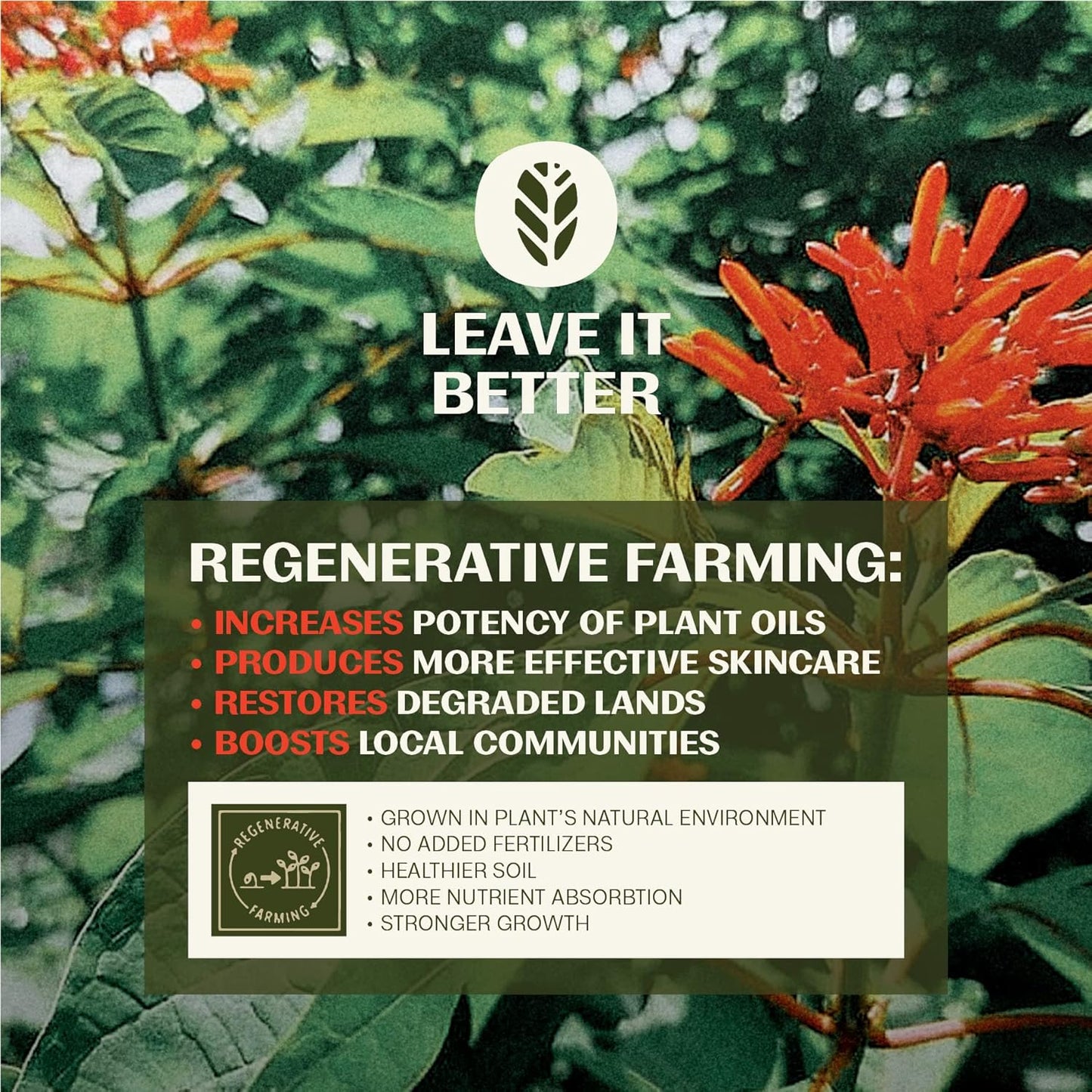 Thrive Natural Care Reef Safe Sunscreen SPF50 - Hawaii 104 Reef Act Compliant - Mineral Sunscreen Non-Nano Zinc Oxide - Vegan, (5.8 Oz (Pack of 2))