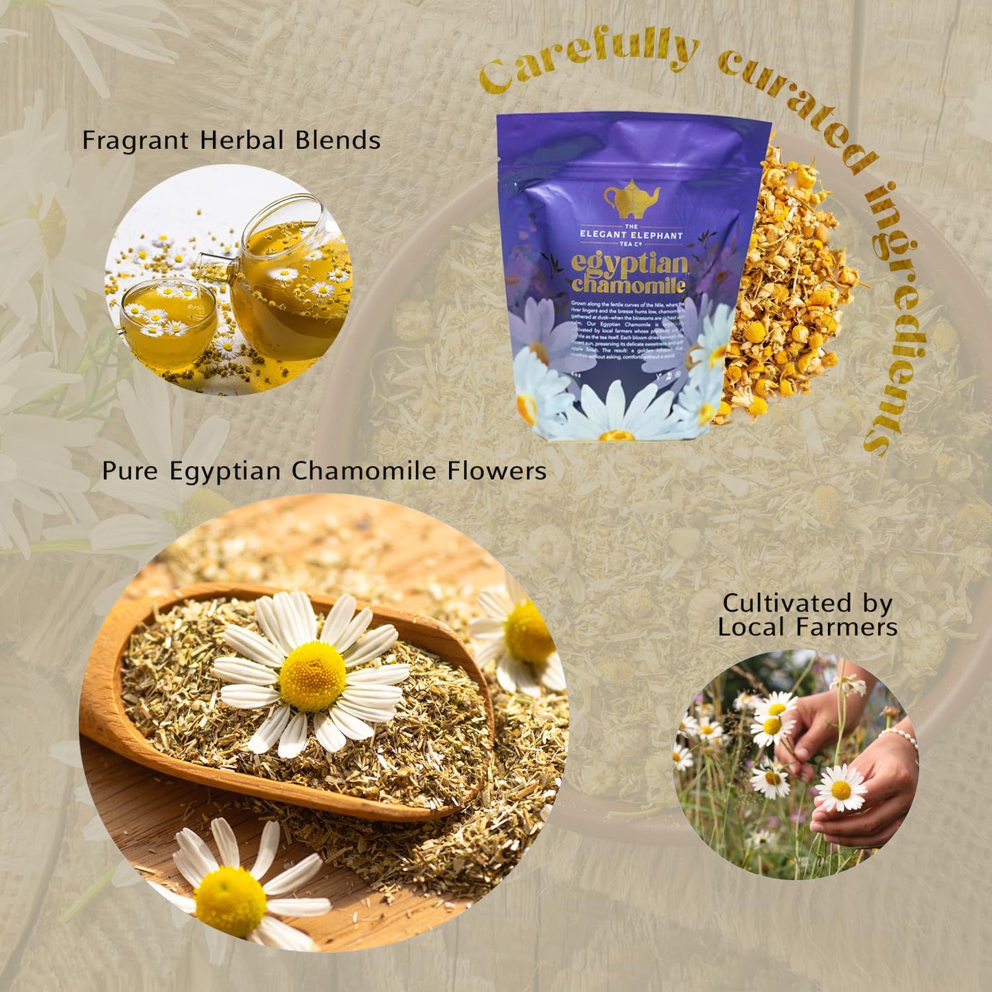 Egyptian Chamomile Tea, Organic Loose Leaf Herbal Tea – Cozy, Calming – Supports Stress Relief, Relaxation & Sleep – 4 oz Resealable Bag (Makes 50 Cups) – The Elegant Elephant