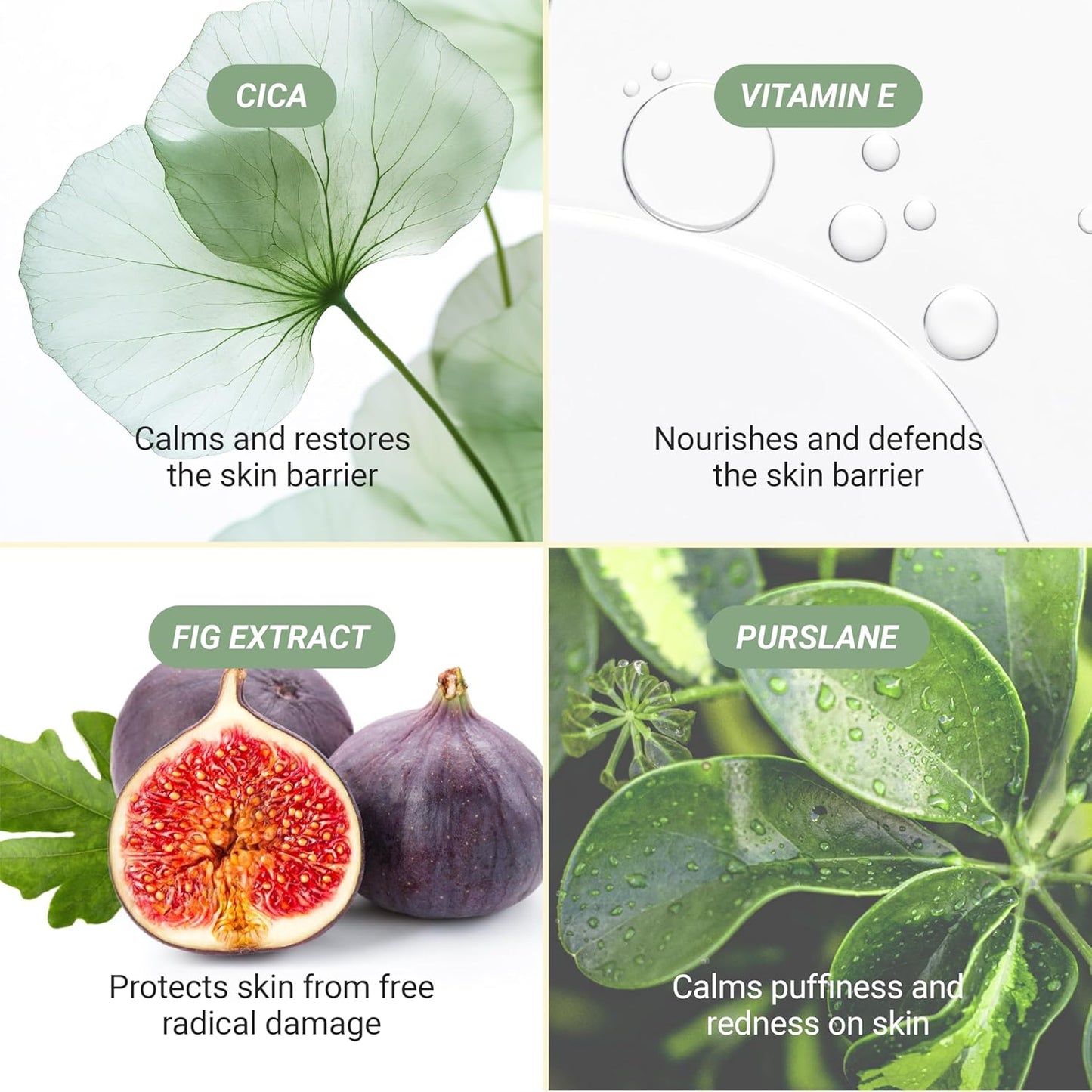 Meebak CICA Toner Spray | Korean Face Mist | Facial Spray with Centella Asiatica & Vitamin E | Soothing Face Toner for Sensitive, Oily, and Combination Skin | 4 fl oz