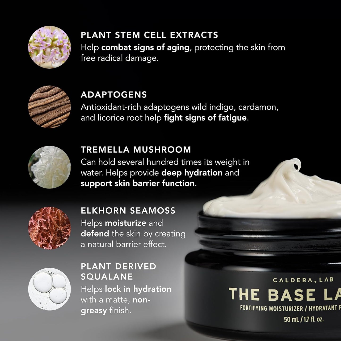 Caldera + Lab The Base Layer | Men's Organic Face Cream Moisturizer for Dry, Sensitive, & Normal Skin – Vegan, Natural & Antioxidant Packed Facial Skincare