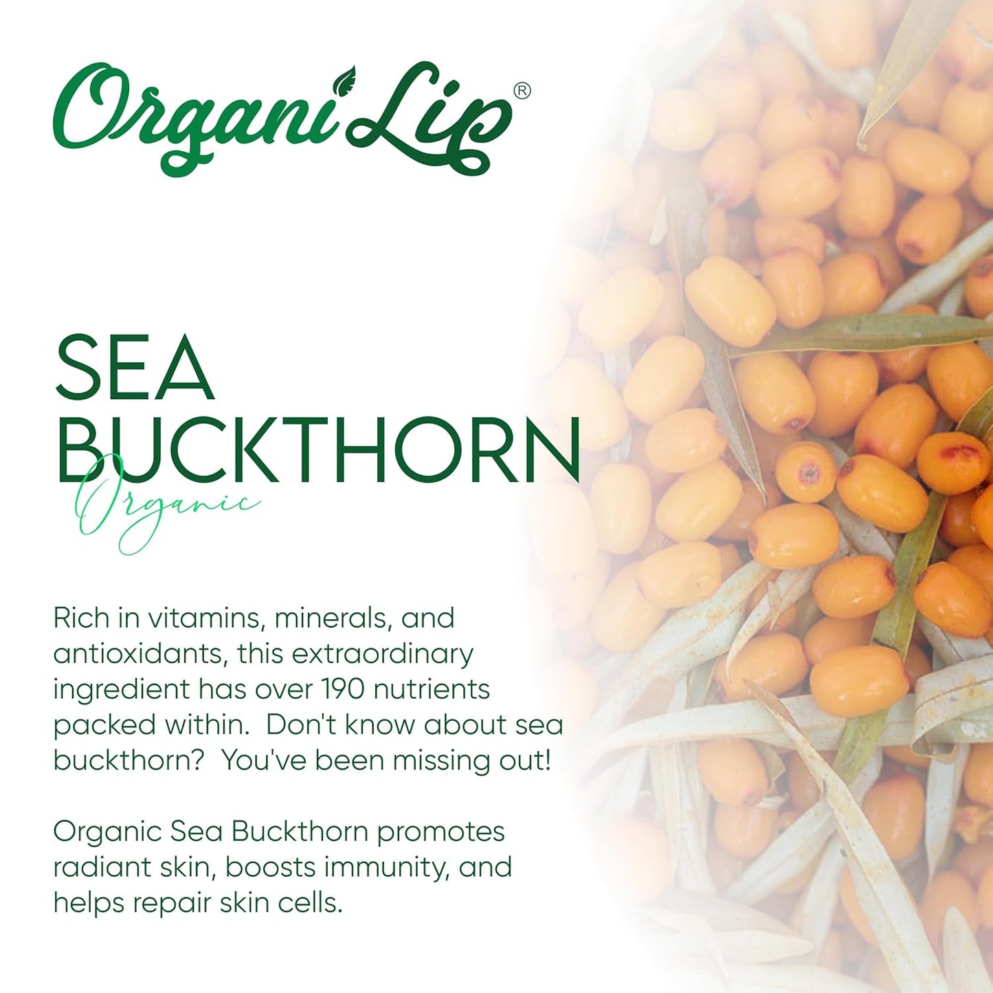 OrganiLip Organic Lip Balm, Variety3 Pack (Spearmint, Cherry, Acai), Ultra Hydrating Lip Moisturizer for Dry Lips, USDA Certified Organic,