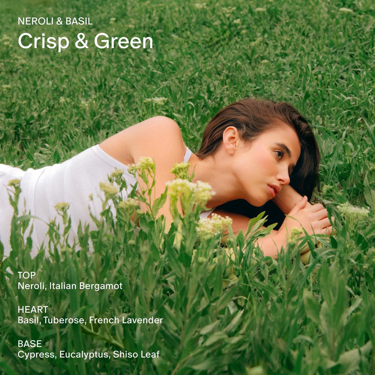 Salt & Stone Body Wash with Antioxidants for Deep Moisture | For Women & Men, Sulfate, Paraben, & Dye Free, Leaving Skin Soft and Hydrated (Neroli & Basil 32 fl oz)