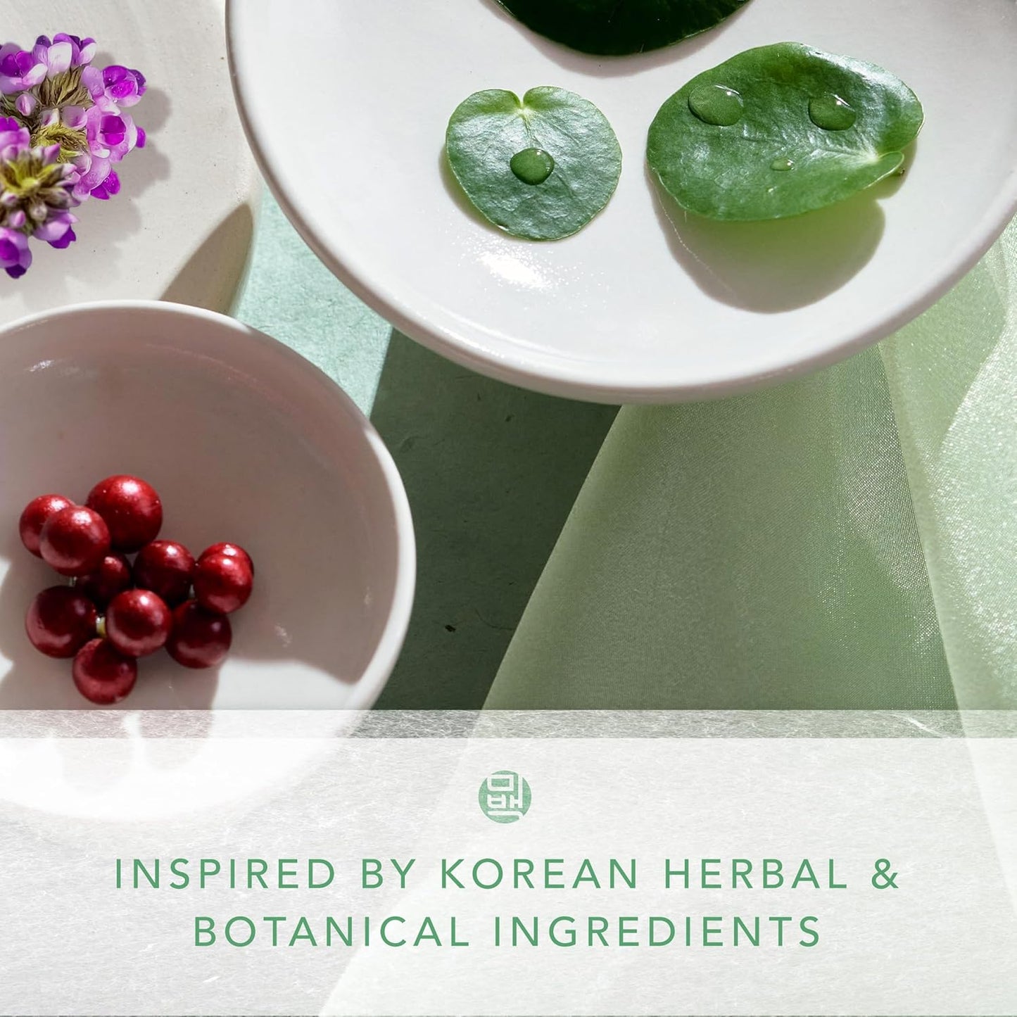 Meebak Korean Eye Cream for Wrinkles, Anti Aging, Dark Circles and Puffiness with Bakuchiol, CICA, Caffeine, Ginseng Berry 1.01 fl oz