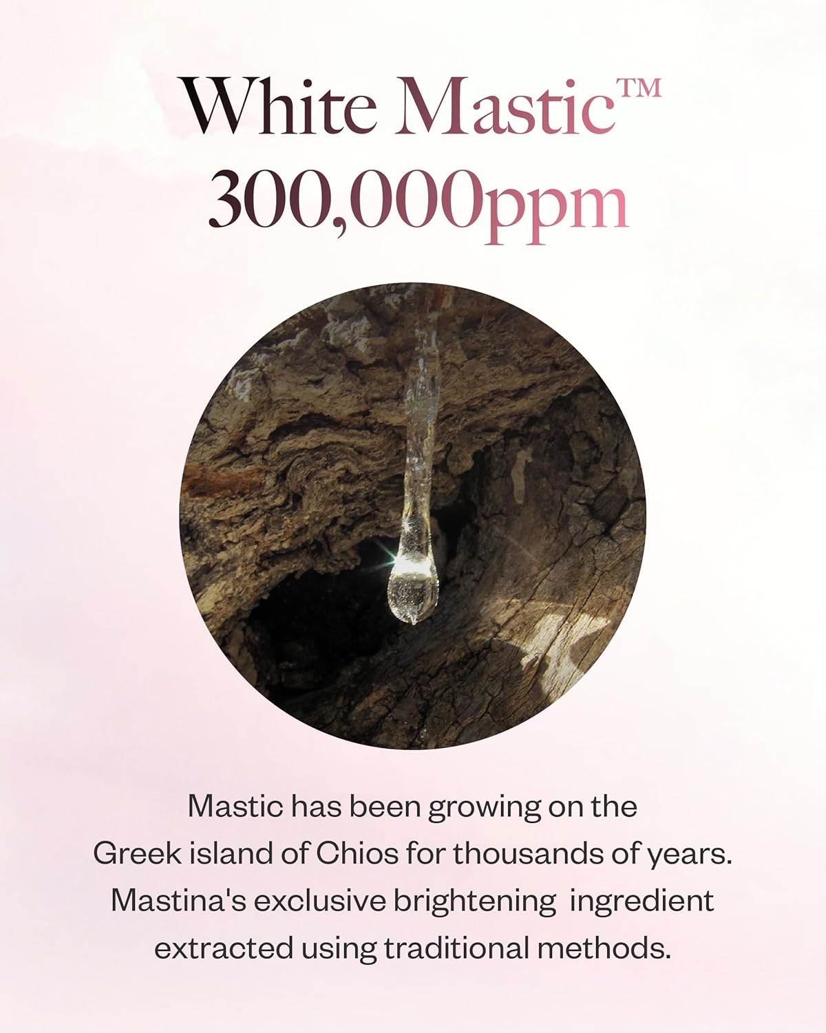 Mastina Natural Glow Cushion with Mastic Gum, 21 Color, 15g - Lightweight Foundation for Radiant and Hydrated Skin, Smooth Finish with No Greasy Shine