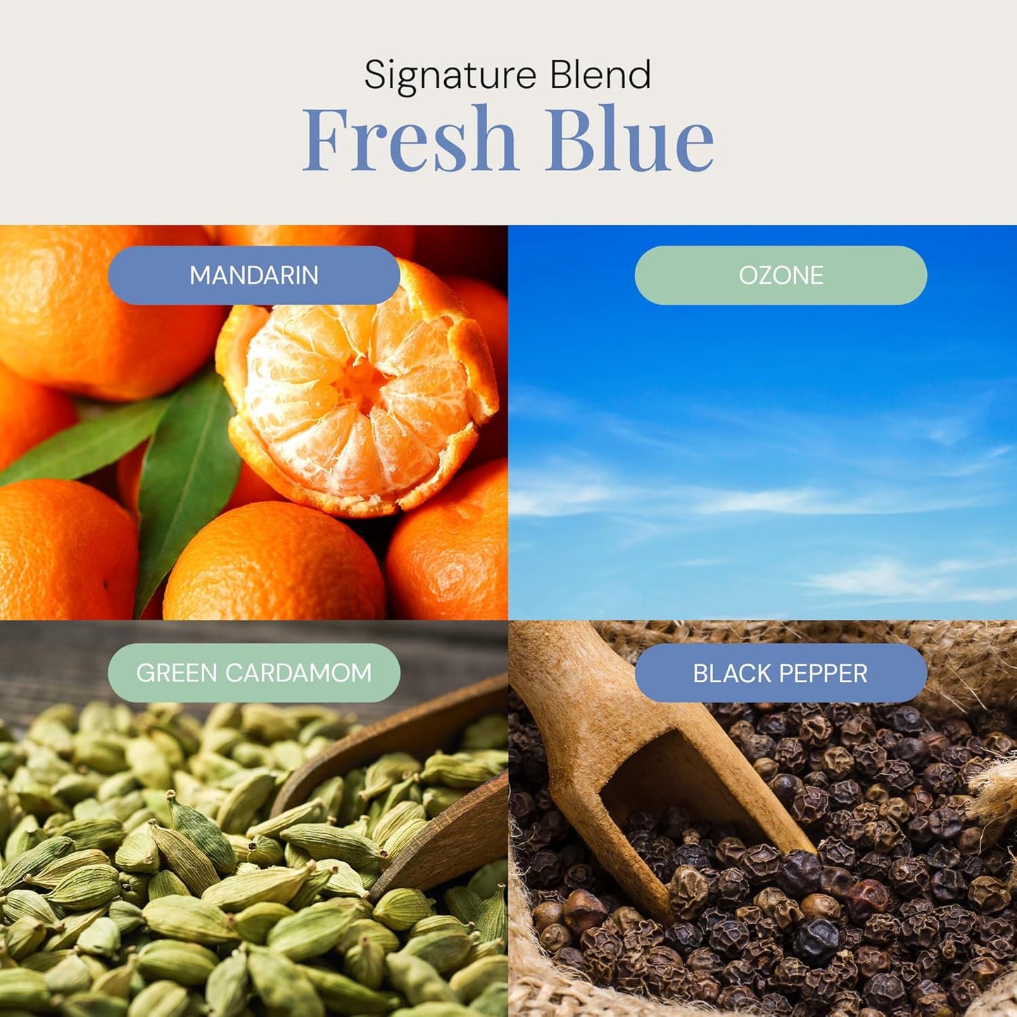 Fresh Blue Aroma Oil, Essential Oils Blend for Diffusers & Scent Machines, Mandarin, Ozone, and Cardamom Blend, Aromatherapy, Cold Air Diffuser Compatible, 100 mL