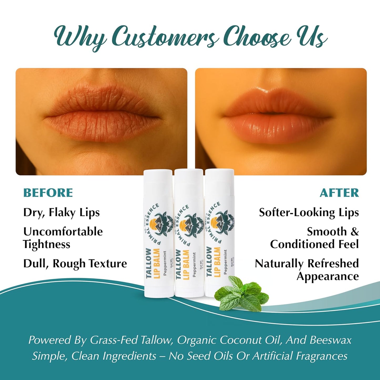 Moisturizing Tallow Lip Balm – Grass-Fed Beef Tallow with Organic Coconut Oil, Beeswax, and Vitamin E – Peppermint – Lip Balm Set – Travel Essential – 3-Pack