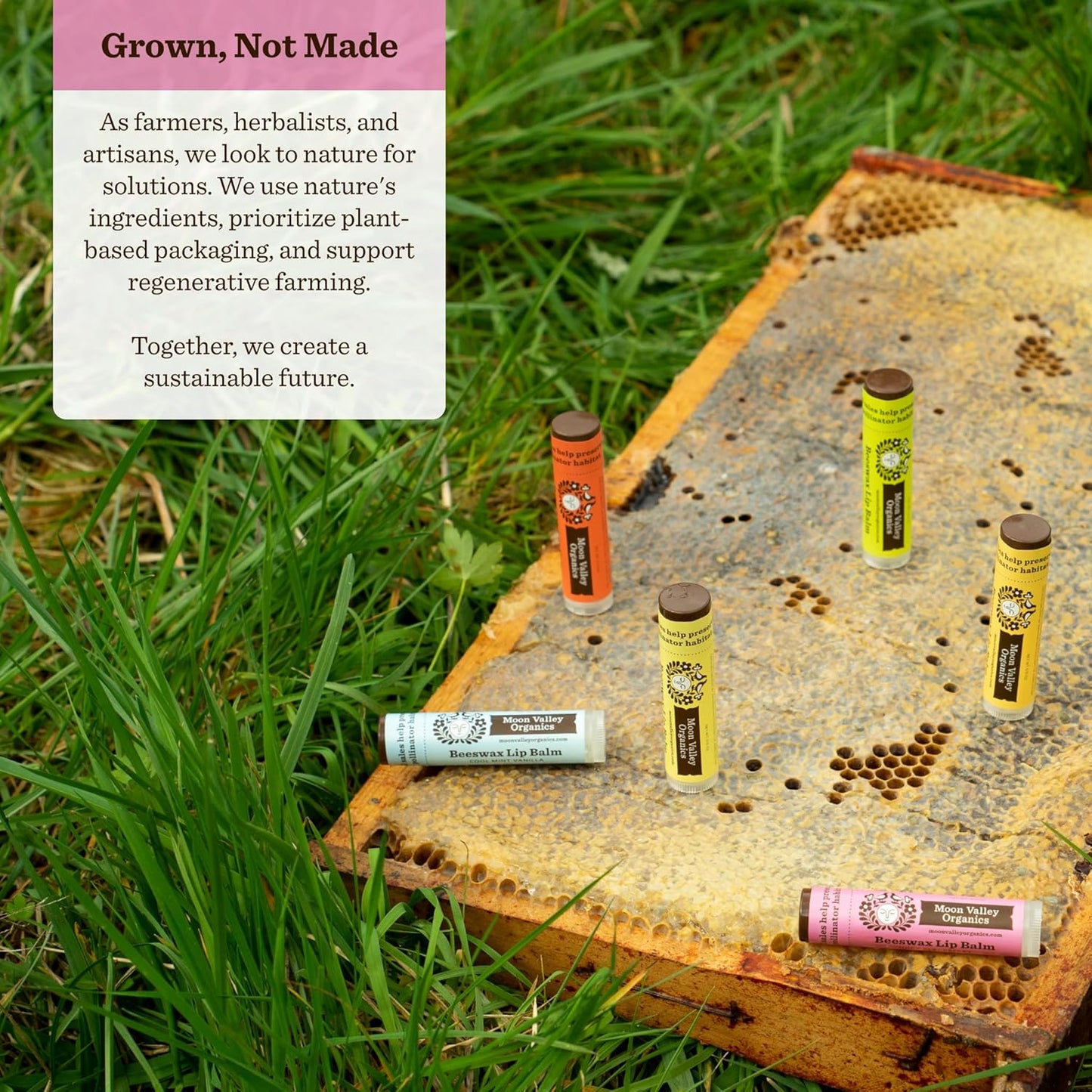 Moon Valley Organics Beeswax Lip Balm for Moisturizing Lips and Cuticles (JUICY BLACKBERRY, 6-Pack)