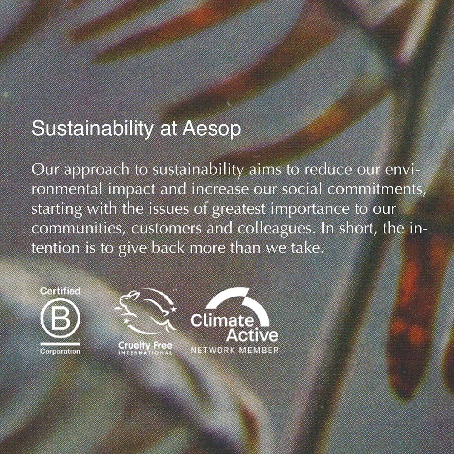 Aesop Arrival Travel Set | Hair and Body Care Staples to Help Refresh | 1.7oz / 50mL (Pack of 4)